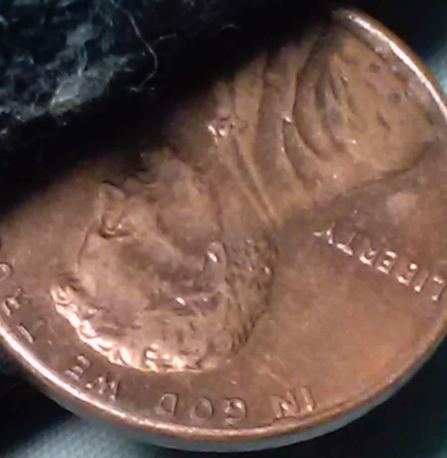 1983-P-Lincoln-Cent-With-Small-Cud-Smallest-I've-Seen-And-It's-Hilarious!